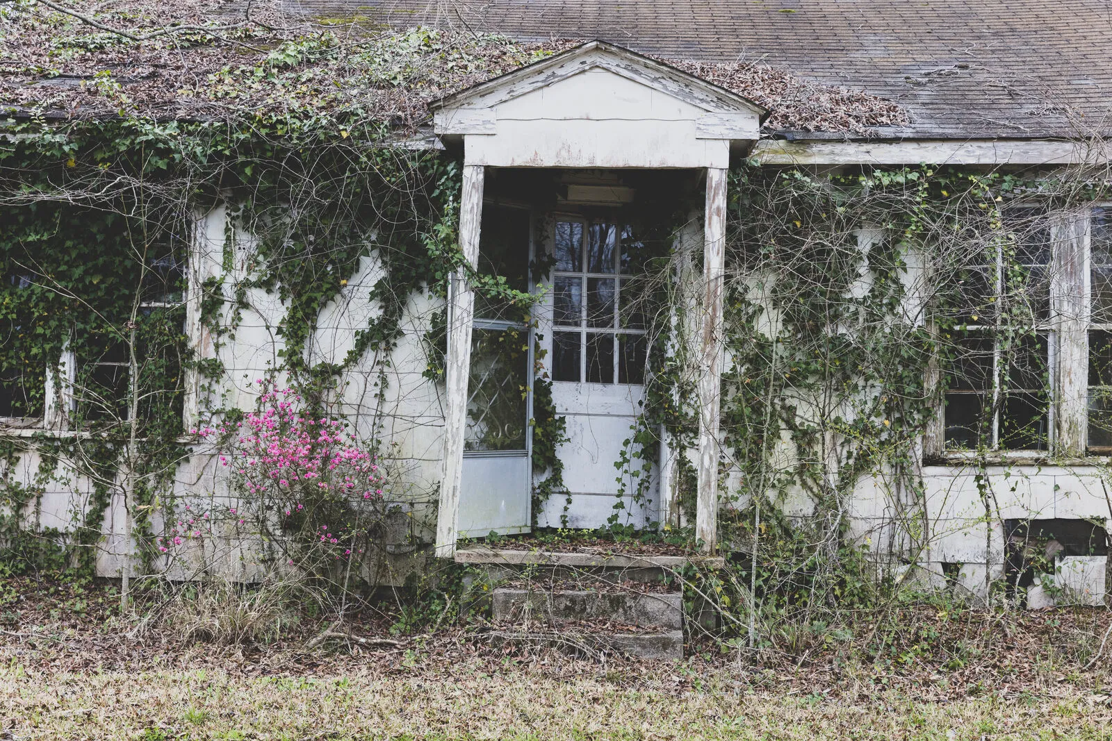 Older Florida home with overgrown vines, in need of repair